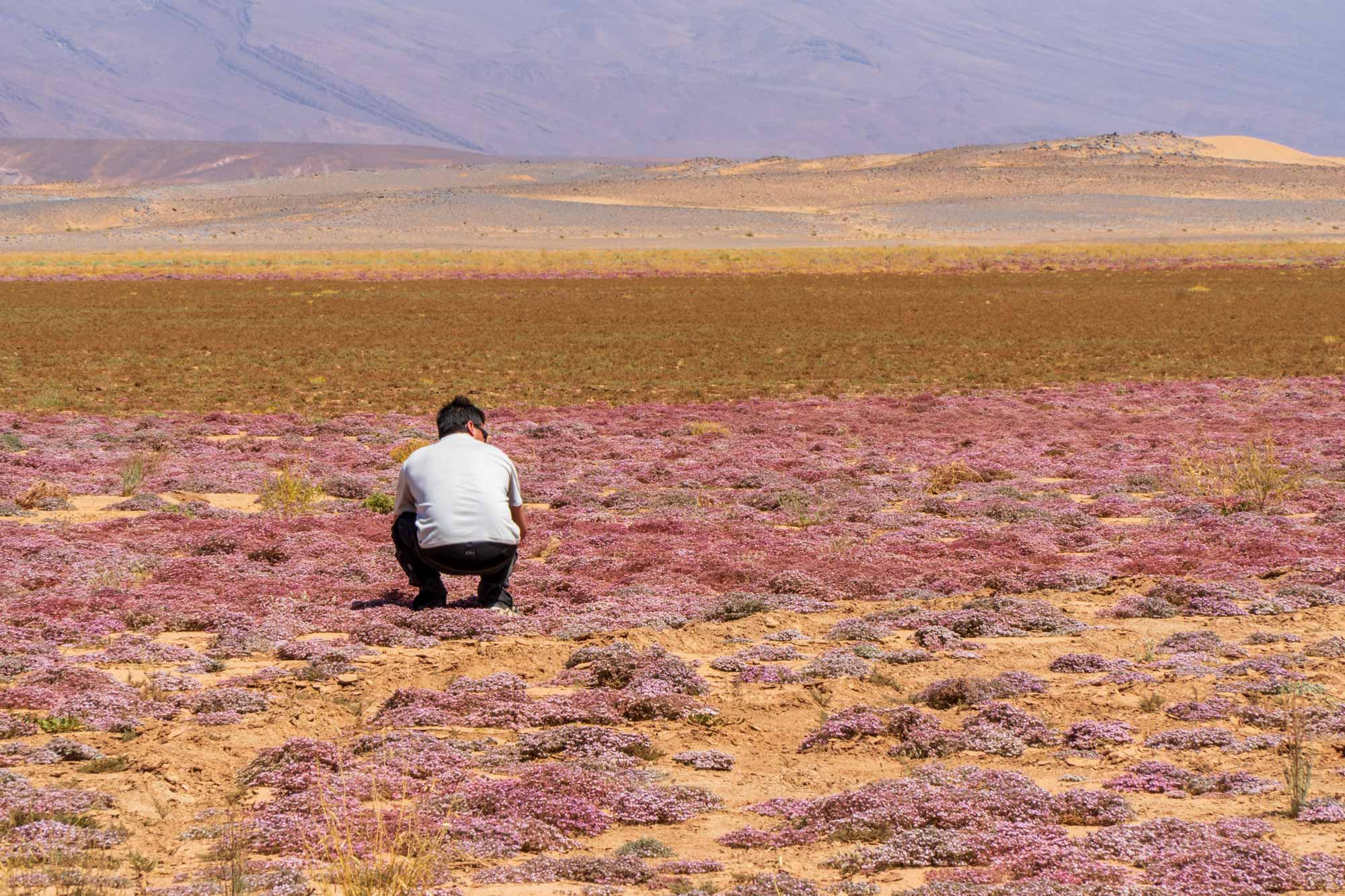Marocco-in-moto-sette-giorni-senza-WiF_7.