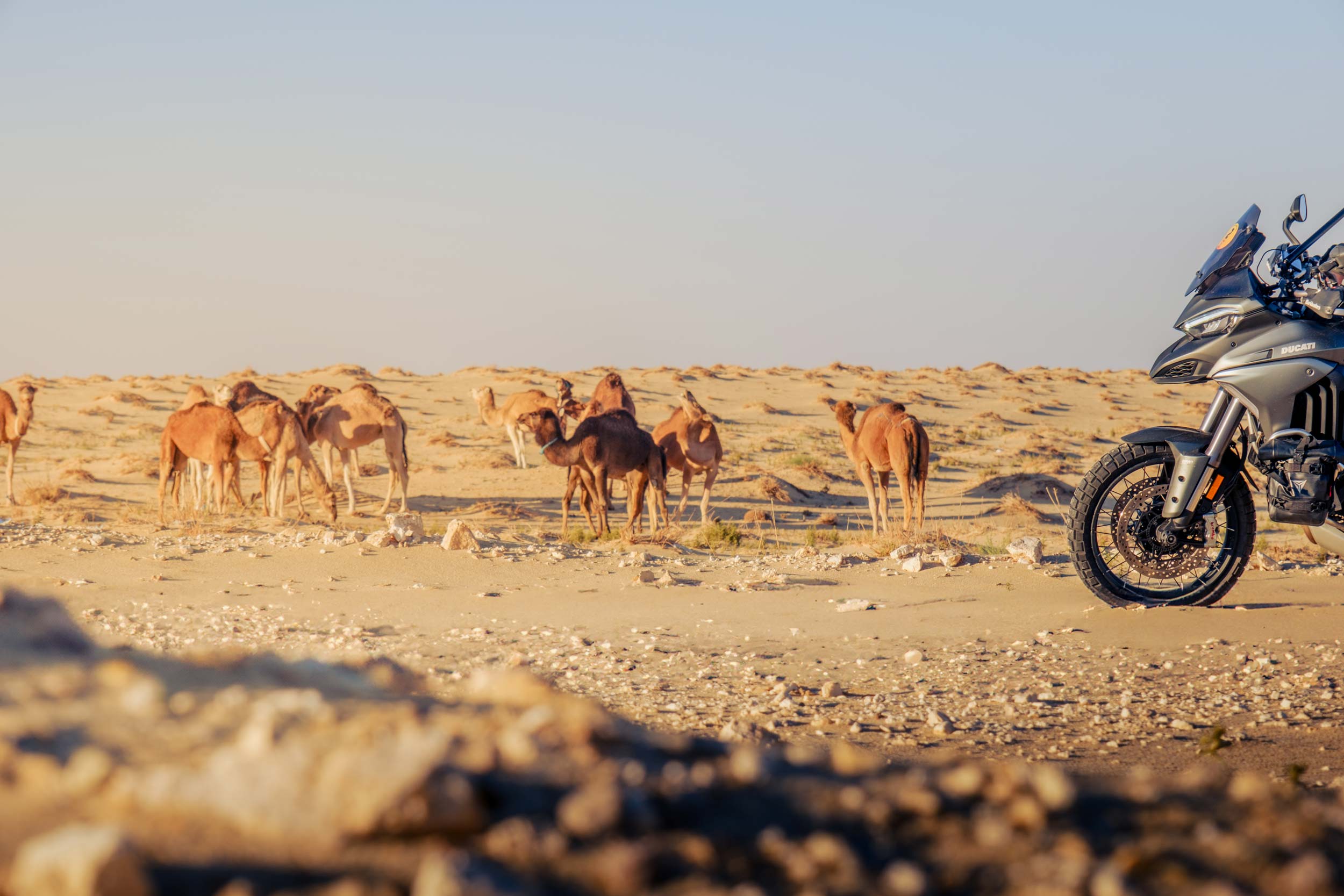 motorizzonti_viaggi-in-moto-in-Tunisia_11 Motorizzonti viaggi in moto in Tunisia