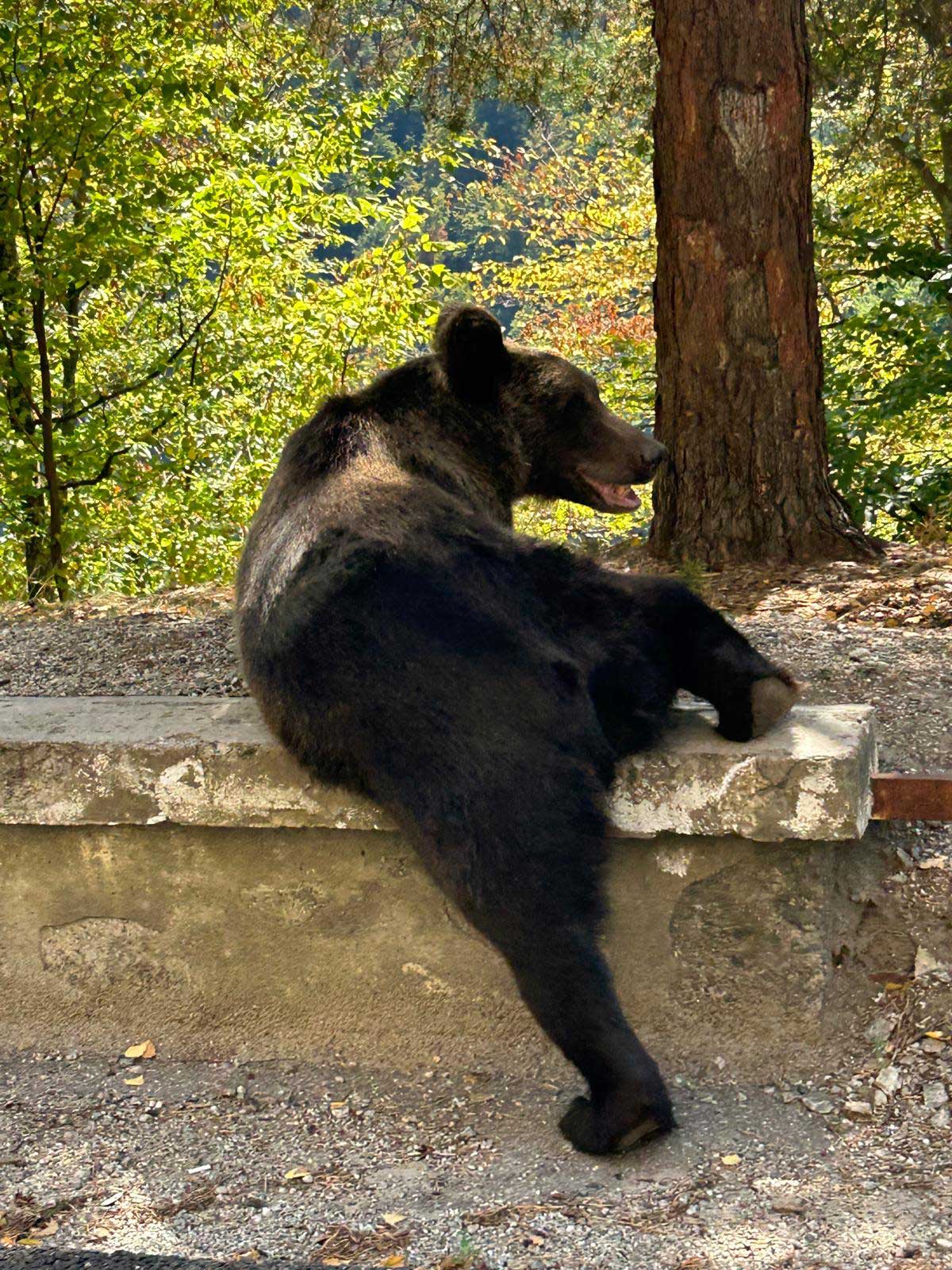 Romania in Moto curve e natura